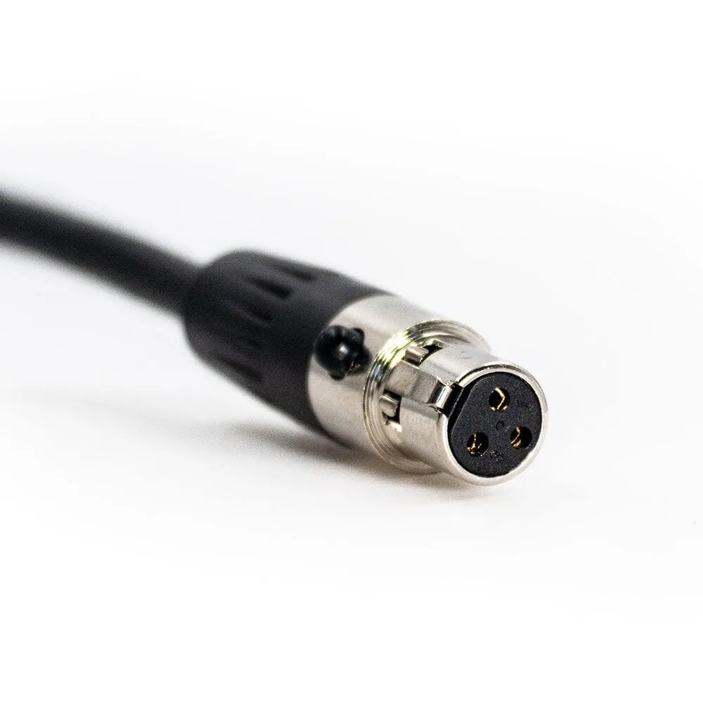 HD3_A2+_plug