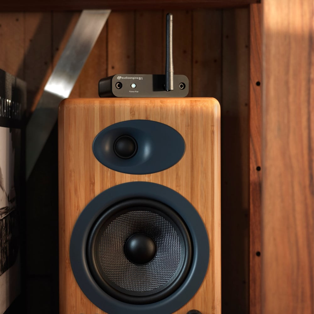 geïrriteerd raken Laboratorium droefheid B1 Bluetooth Music Receiver — Audioengine