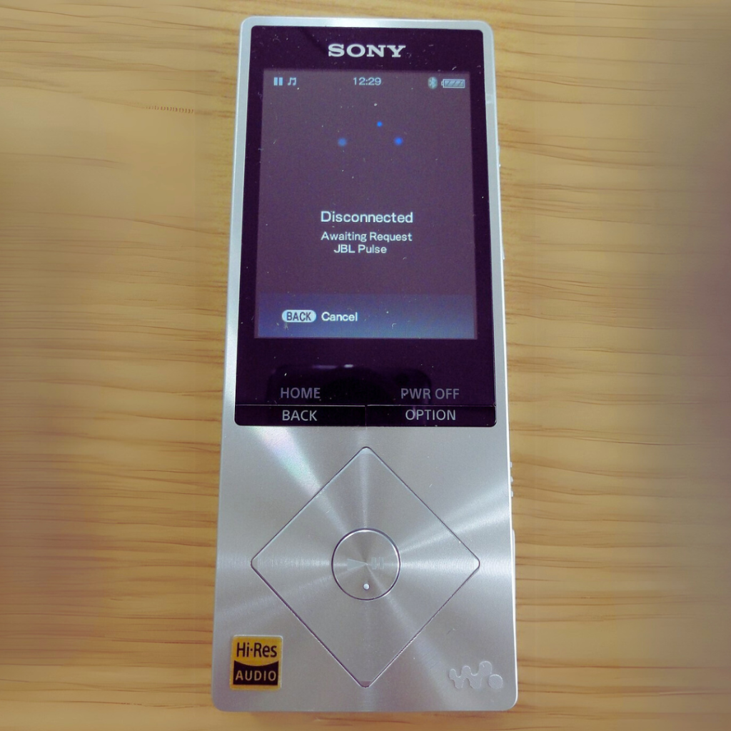 What is a Digital Audio Player (DAP)? 